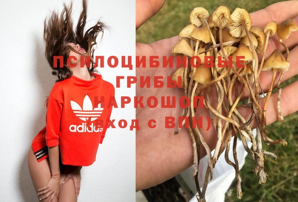 трава Беломорск