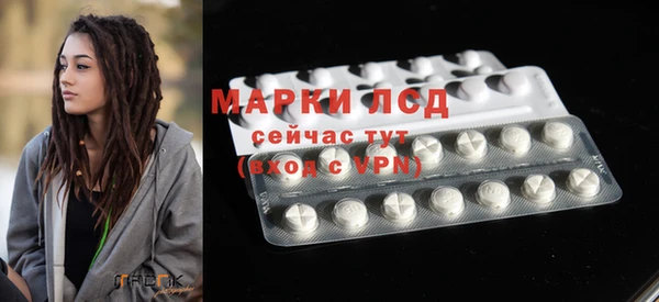 ПСИЛОЦИБИНОВЫЕ ГРИБЫ Белоозёрский