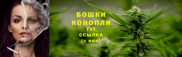 COCAINE Белокуриха