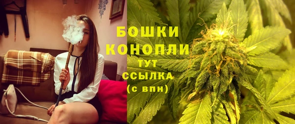 ПСИЛОЦИБИНОВЫЕ ГРИБЫ Белоозёрский