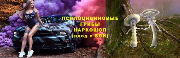 трава Беломорск