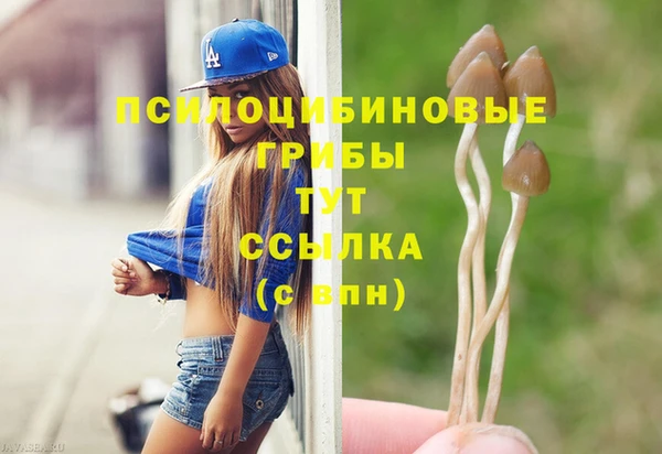 трава Беломорск