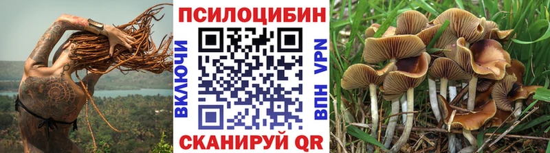 где купить наркоту  Чекалин  Галлюциногенные грибы Cubensis 