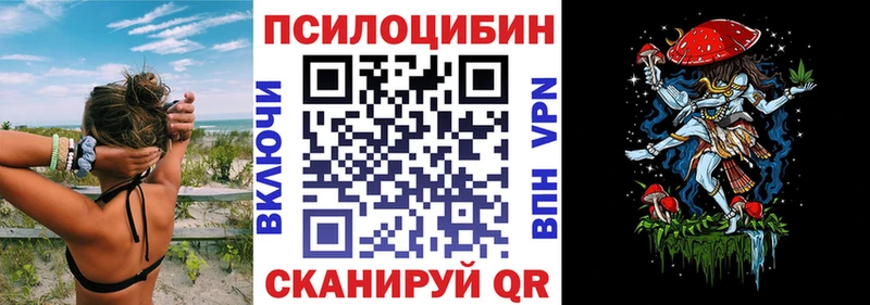 Галлюциногенные грибы Psilocybe Чекалин